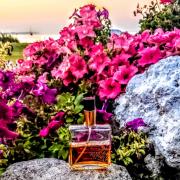 Photo by manonlescaut