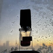 Black Afgano Nasomatto 香水- 一款2009年中性香水