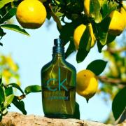 CK One Summer 2014 Calvin Klein perfume - a fragrance for