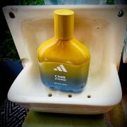 Photo by AndyWarholsFavouriteWig