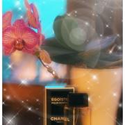 Egoiste Chanel cologne - a fragrance for men 1990