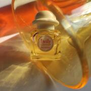 Twilly d'Hermès Eau Ginger Hermès perfume - a