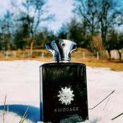 Amouage 2025 memoir fragrantica