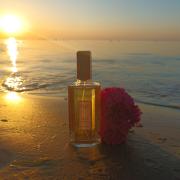 Our Impression of Scherrer 2 by Jean-Louis Scherrer-Perfume-Oil-by-generic-perfumes-  Designer Perfume Oil for Women