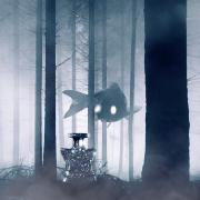 Photo by Лейка@@@