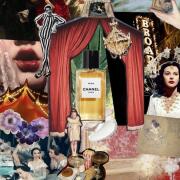 Photo by TheTeaWitch🐈⬛