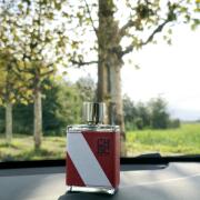 Photo by Morteza Motahari M2