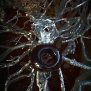 Photo by Лейка@@@