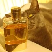 Photo by YogaMermaid