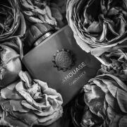 Guidance Amouage perfume - a new fragrance for women and men