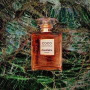 Coco Mademoiselle L'Eau Privée Chanel perfume - a