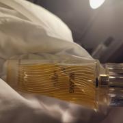 Photo by Elisa_veta_yar