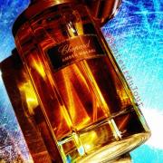 Chopard amber malaki online fragrantica