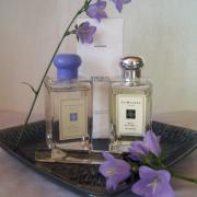 Zara perfume bohemian bluebells new arrivals