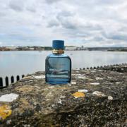 Light Blue pour Homme Forever by Dolce & Gabbana » Reviews & Perfume Facts