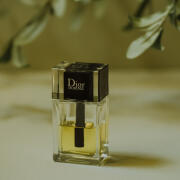 Dior Homme 2020 Dior cologne - a fragrance for men 2020