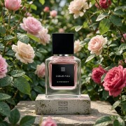 Cœur Fou Givenchy parfum - un parfum unisex 2024