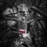 Photo by Engel desTodes