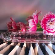 Photo by Lady in Red