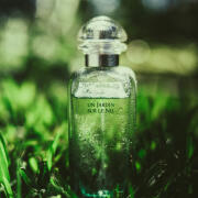 Un Jardin Sur Le Nil Hermès perfume - a fragrance for women