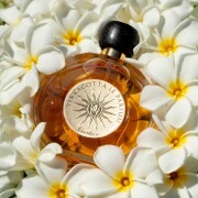 Terracotta Le Parfum Guerlain fragancia - una fragancia para