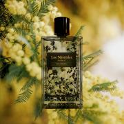 Photo by Anahita Rae