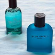 Blue Spirit Zara cologne - a new fragrance for men 2022