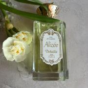 Alizee Detaille perfume - a fragrance for women