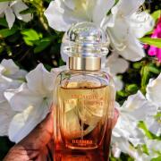香水(ユニセックス) HERMES UN JARDIN SUR LA LAGUNE 30ml Amazon.com : Un Jardin Sur La Lagune by Hermes for Women 3.3