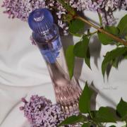 Photo by Sweet Orchid