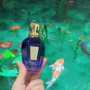 Torino21 Xerjoff perfume - a fragrance for women and men 2021