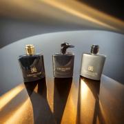 Trussardi Black Extreme Trussardi cologne - a fragrance for