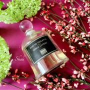 Bois de Violette Serge Lutens 香水- 一款1992年中性香水