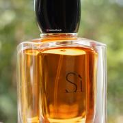 Si Giorgio perfume - a fragrance for women 2013