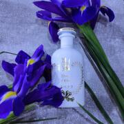 Tears Of Iris Eau de Parfum Gucci perfume - a fragrance for