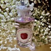 Shop 30 ml ELISABETHAN ROSE Eau de Parfum | Little luxuries