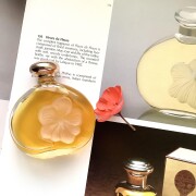 Fleur de Fleurs Nina Ricci perfume - a fragrância Feminino 1982