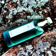 Eau Parfumee au The Vert Bvlgari perfume - a fragrance for women