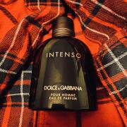 Dolce Gabbana Pour Homme Intenso Dolce Gabbana cologne a fragrance for men 2014