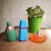 Photo by Perla Vencis