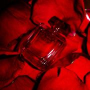 Photo by Engel desTodes