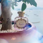Magnolia (2023) Santa Maria Novella perfume - a new Magnolia (2023) Santa Maria Novella perfume - a new