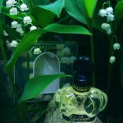 Photo by Engel desTodes