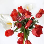 Photo by sandrina_bambina