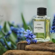 Jersey Eau de Parfum Chanel 香水- 一款2016年女用香水