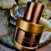 Oud Minérale (2023) Tom Ford 香水 - 2023年のユニセックス フレグランス