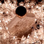 Photo by Poison Girl