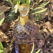 Frenchy Lavande Guerlain perfume - a fragrance for women and men 2021