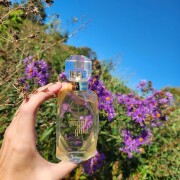 Angel Gold Victoria's Secret perfume - a fragrância Feminino 2015