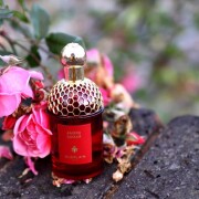 Ambre Samar Guerlain perfume - a new fragrance for women and men 2025